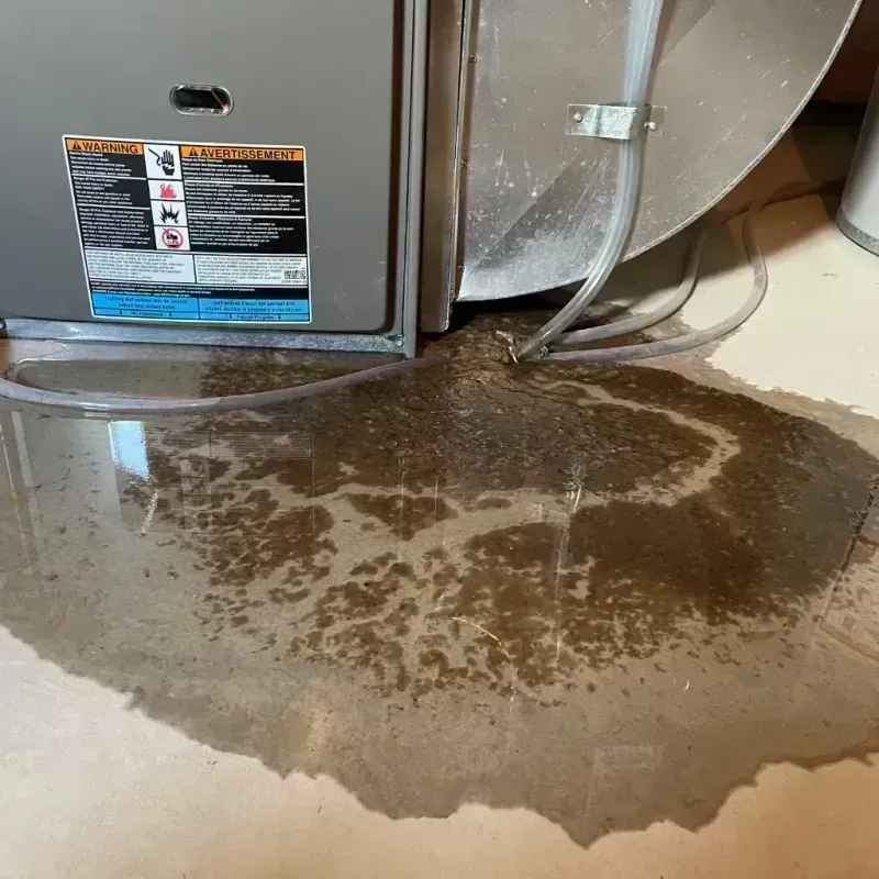 Appliance Leak Cleanup in Silt, CO